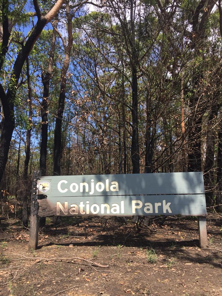Conjola-National-Park-burnt