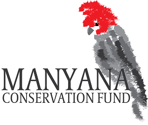 Manyana-Conservation-Fund